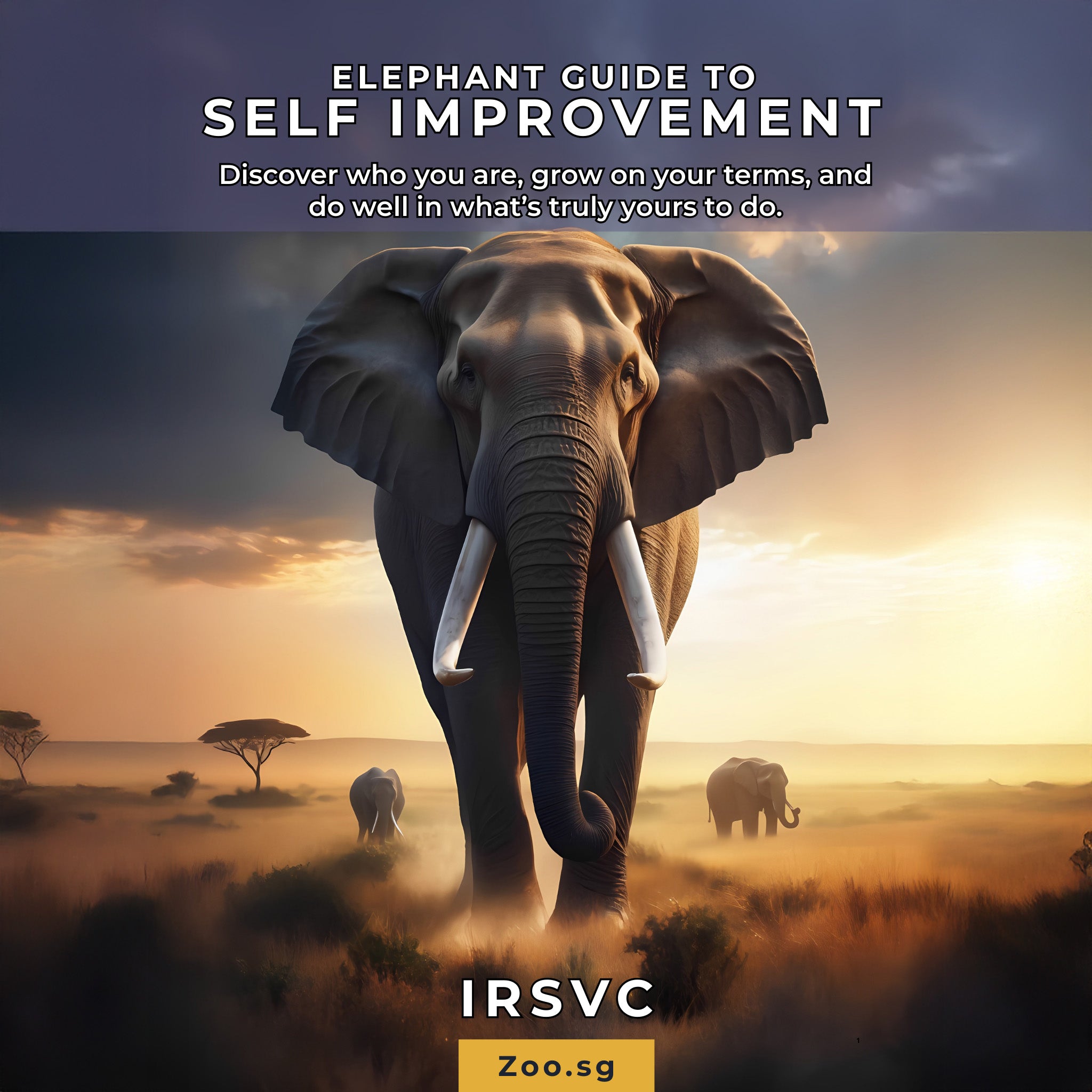 Elephant (IRSVC) Guide to Self-Improvement