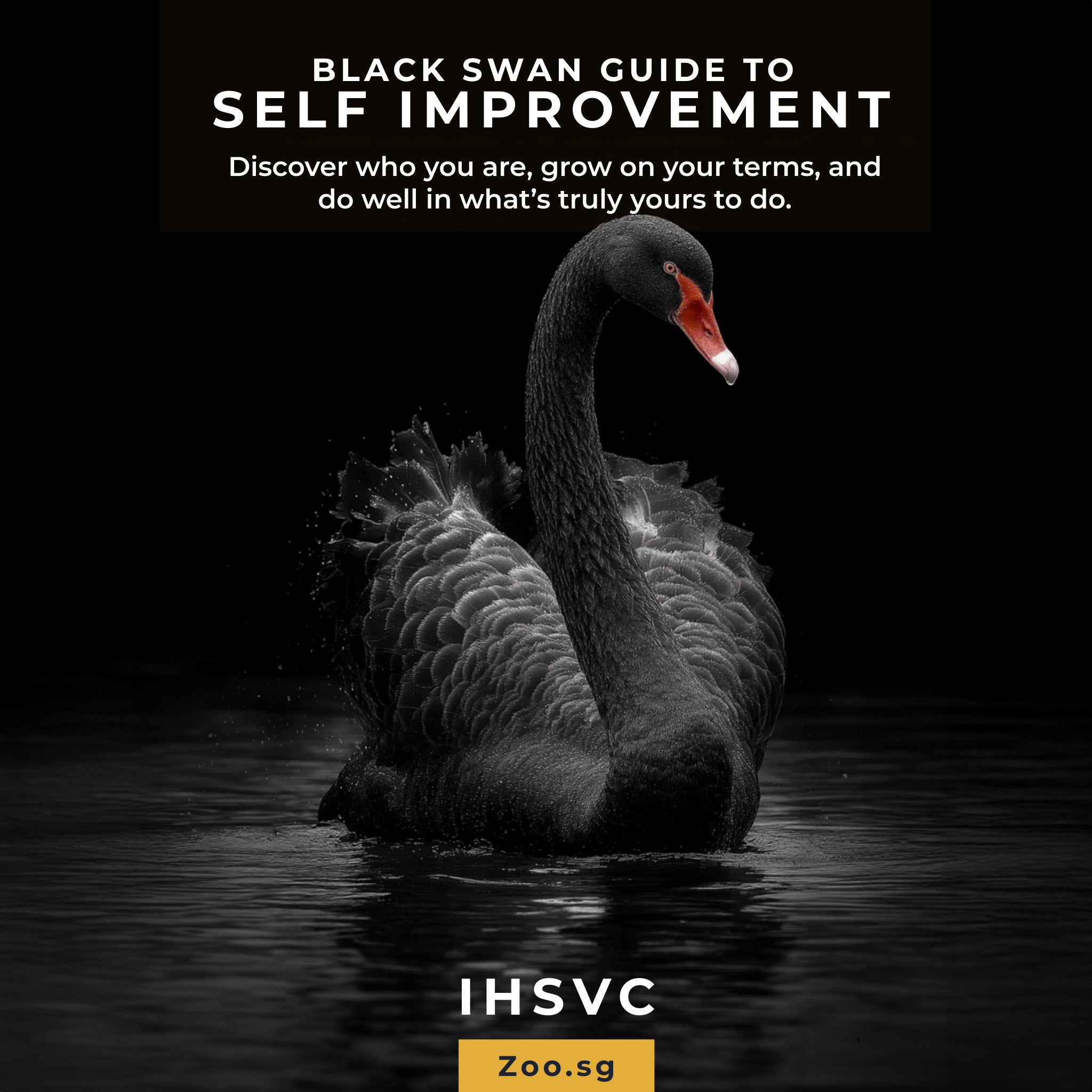 Black Swan Guide to Self-Improvement (IHSVC)