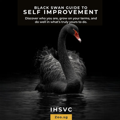 Black Swan Guide to Self-Improvement (IHSVC)