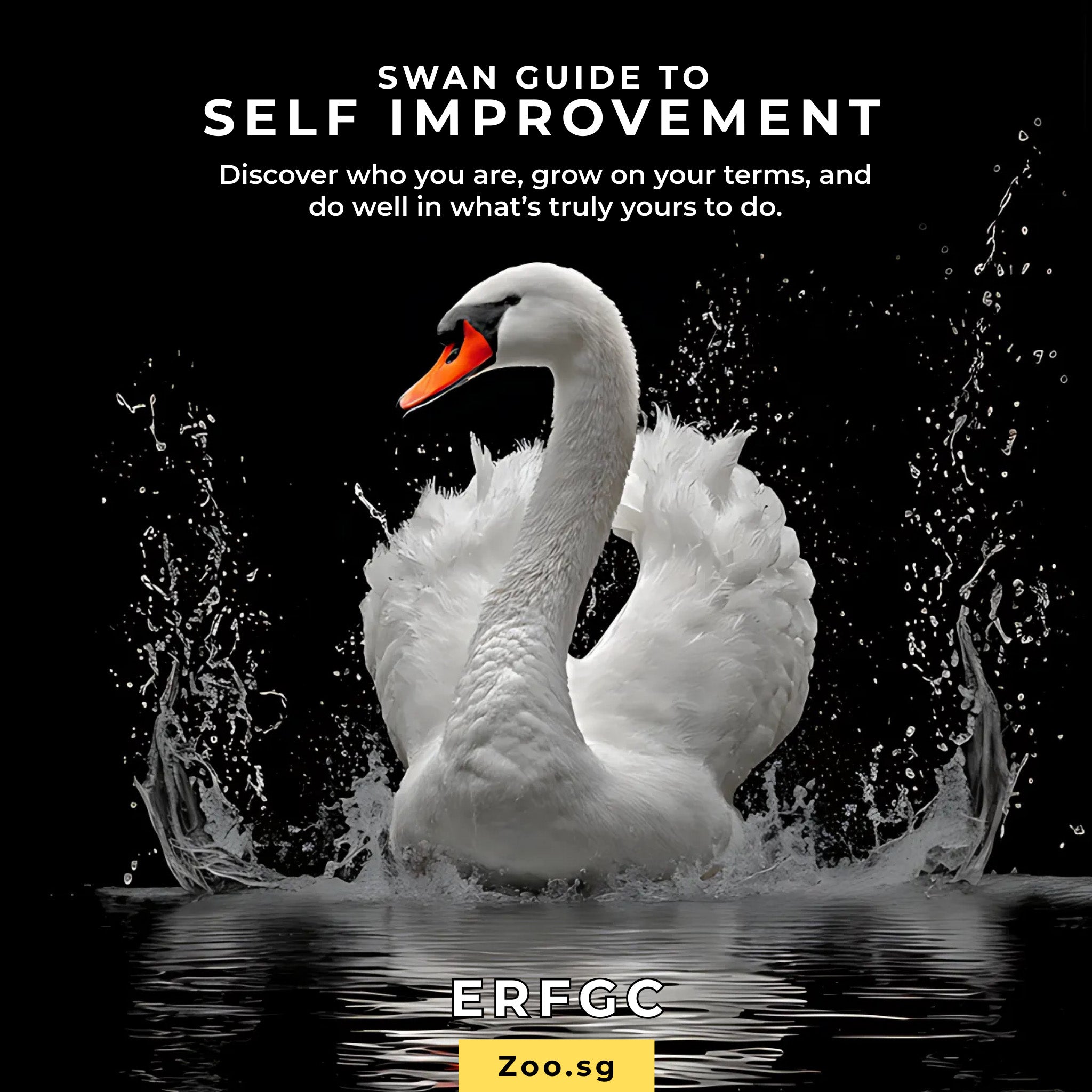 Swan (ERFGC) Guide to Self-Improvement